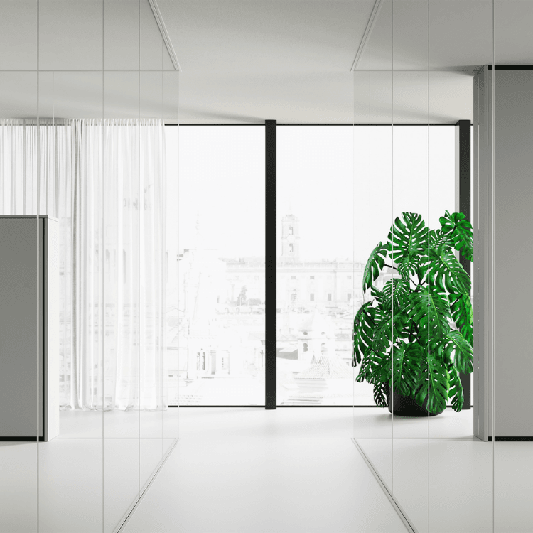 Modern Box wall partition system with minimalist design, integrated storage and glass panels in a bright office interior.