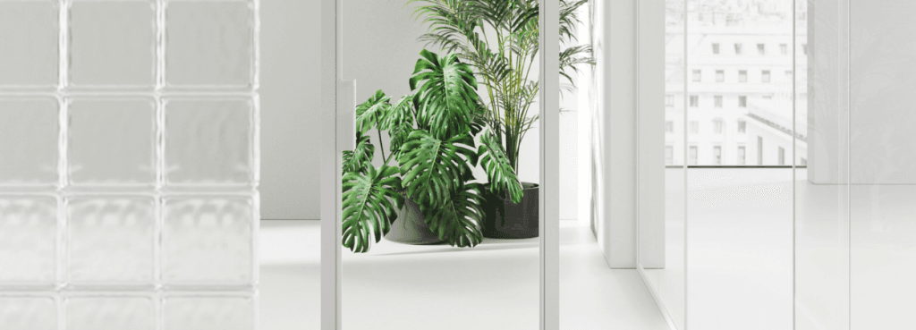 White framed glass Door with a minimalist handle, partially obscuring a leafy green plant in a bright room.