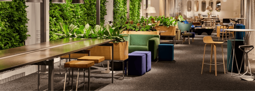 Four Seasons Barstool with oak seat and metal legs positioned in a vibrant showroom filled with lush green plant walls.